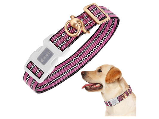 Adjustable Dog Collar store 017 sku 1 2