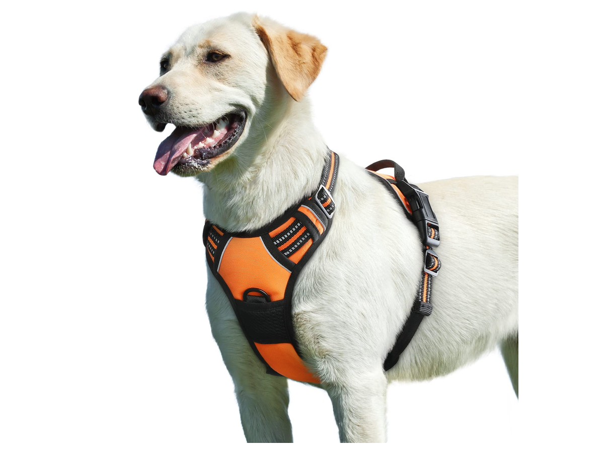 No-Pull Front-Clip Harness store 017 sku 2 variant xl