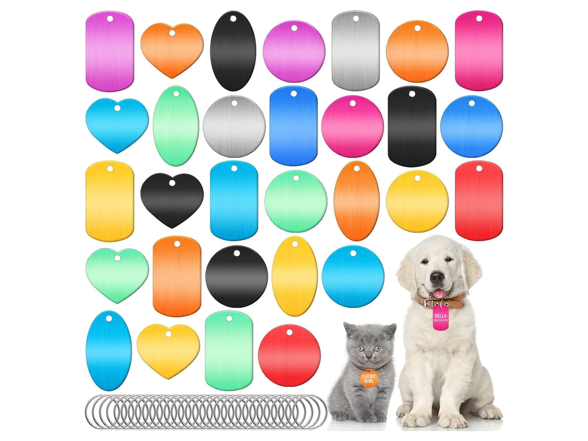 Engravable Pet ID Tag store 017 sku 7 variant tag