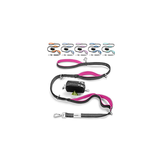 Classic Dog Leash - Charcoal