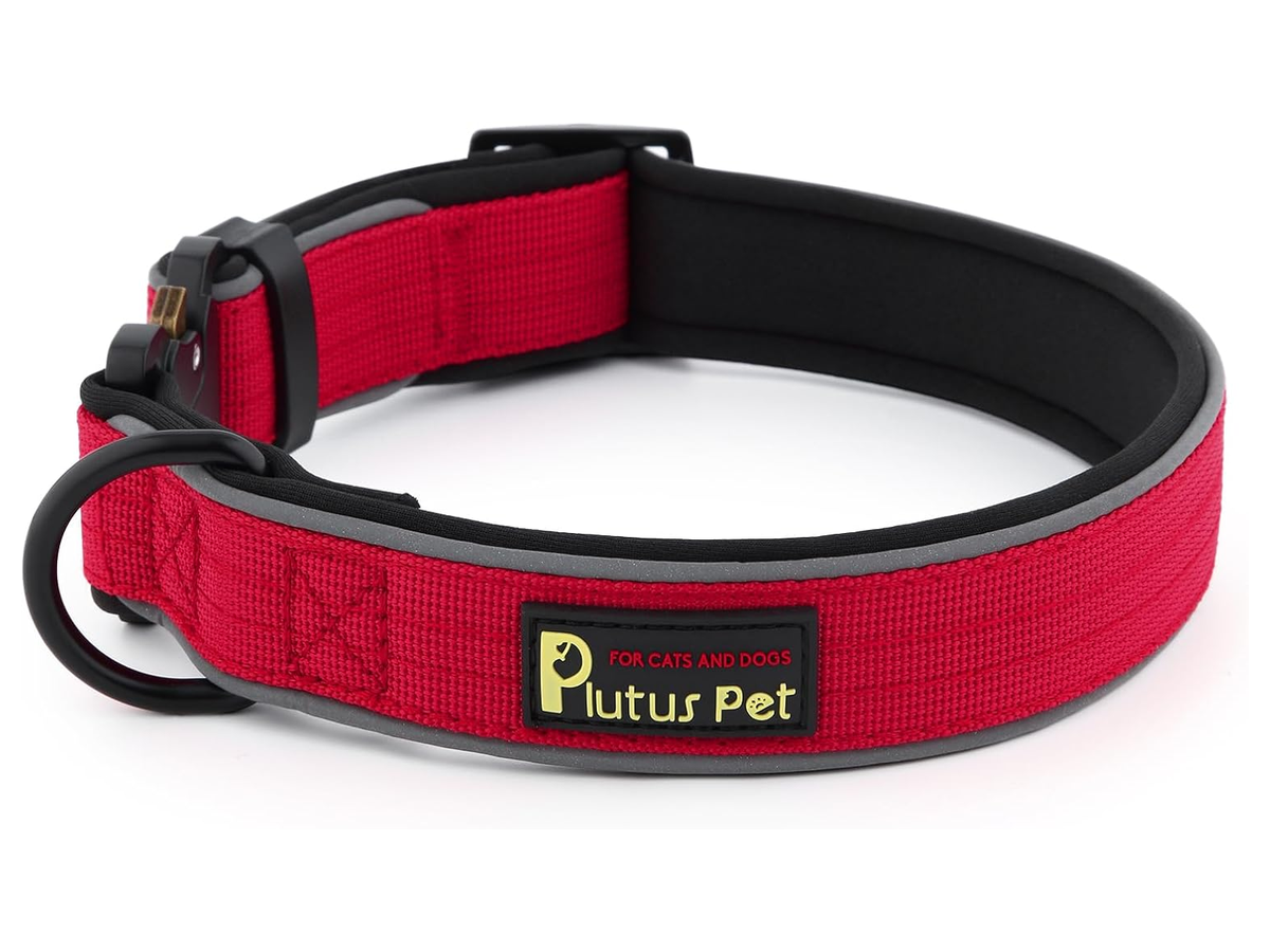 Adjustable Dog Collar store 017 sku 1 1