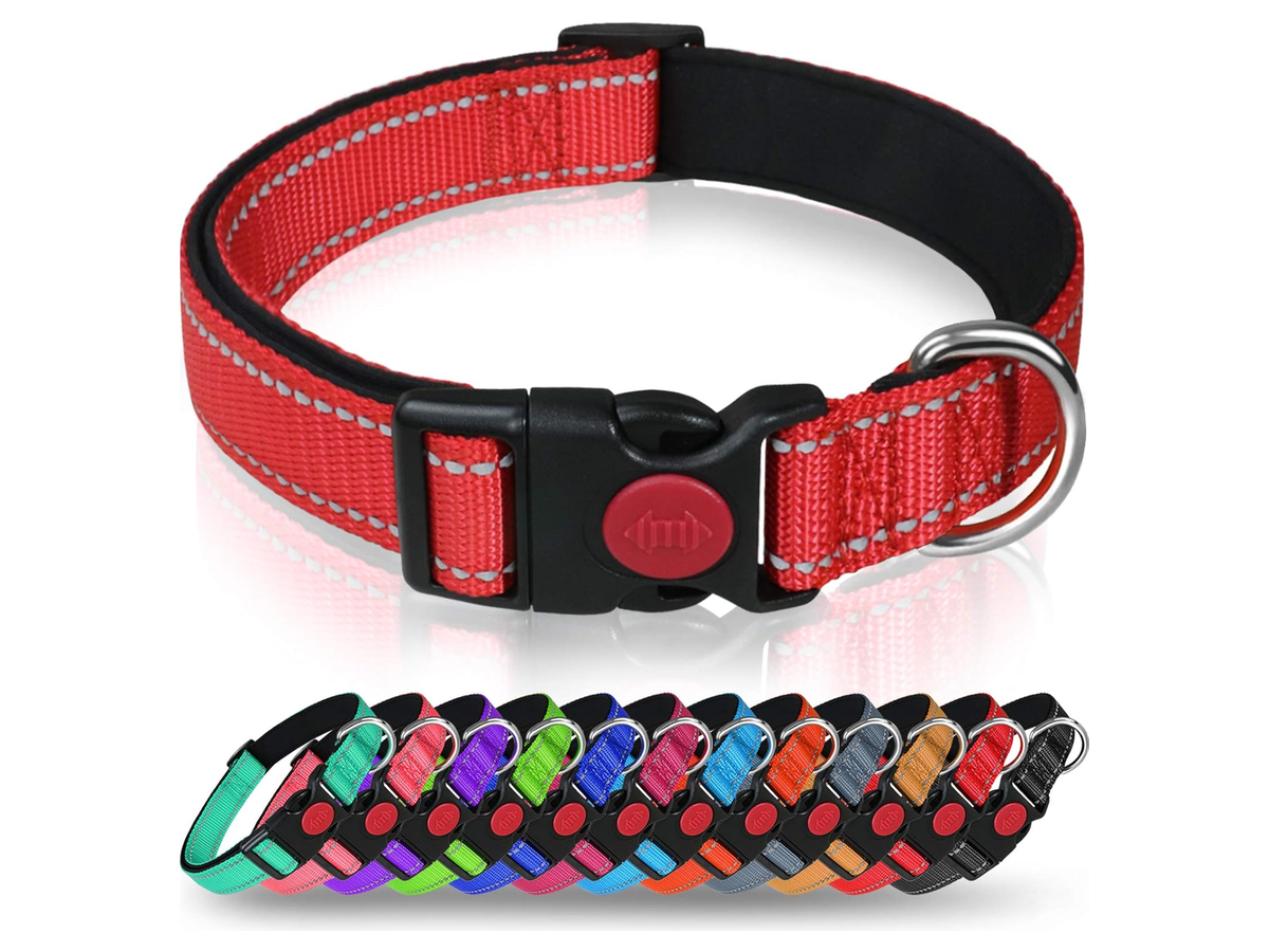 Adjustable Dog Collar store 017 sku 1 3