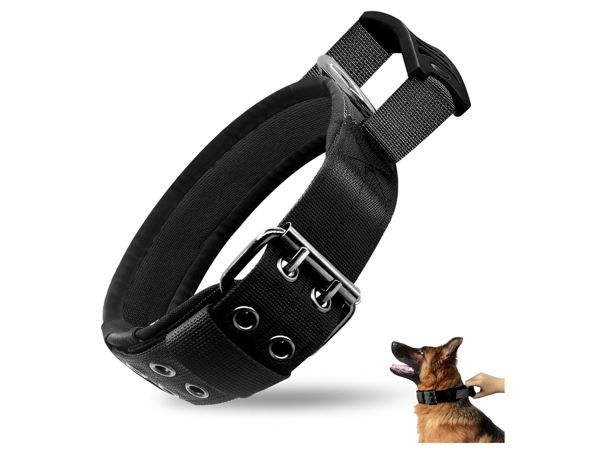 Adjustable Dog Collar store 017 sku 1 variant black