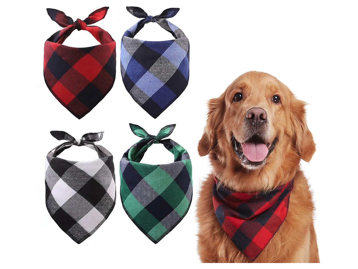 Reflective Pet Bandana store 017 sku 11 variant m