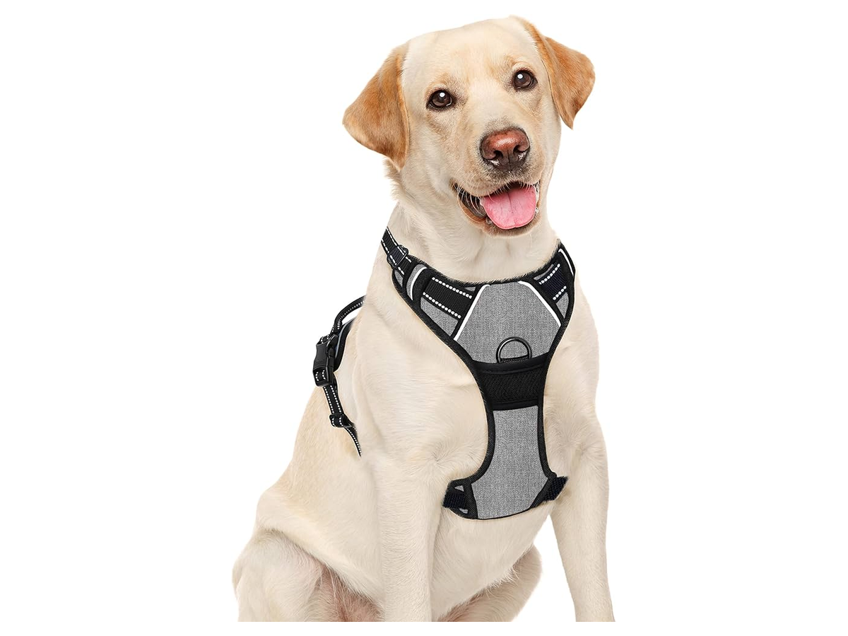 No-Pull Front-Clip Harness store 017 sku 2 1