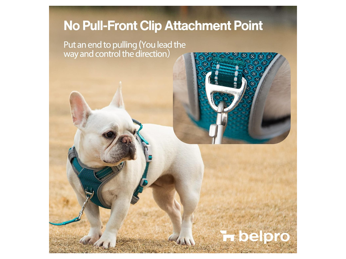 No-Pull Front-Clip Harness store 017 sku 2 2