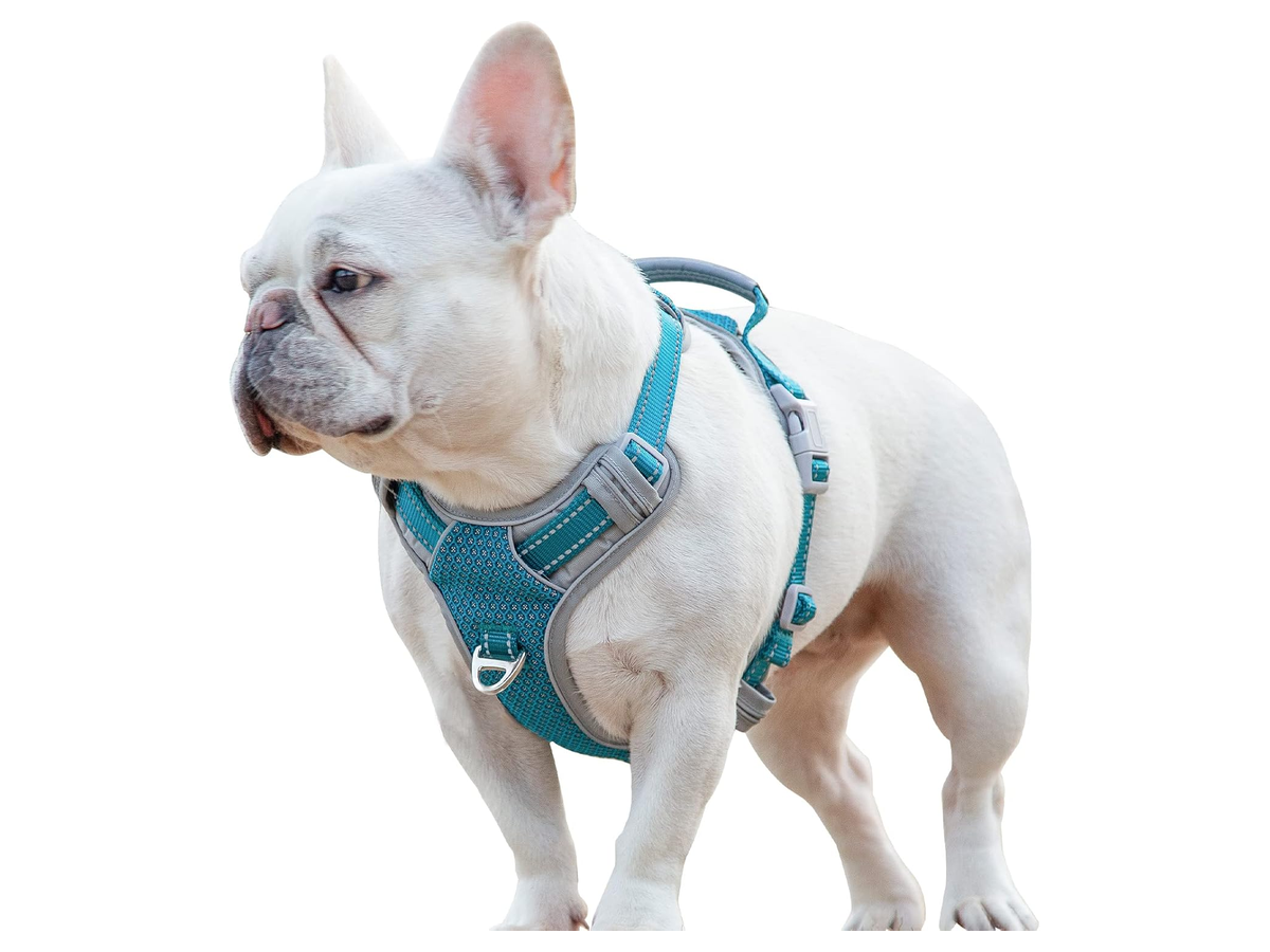 No-Pull Front-Clip Harness store 017 sku 2 3