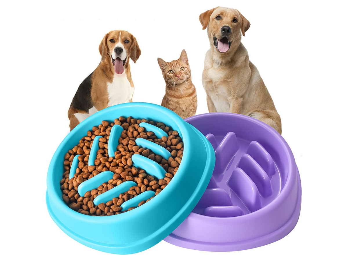 Slow-Feeder Dog Bowl store 017 sku 4 3