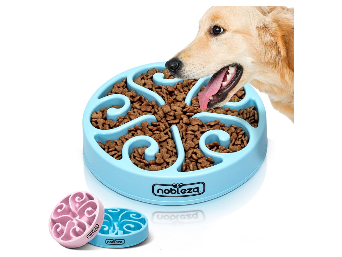 Slow-Feeder Dog Bowl store 017 sku 4 variant large