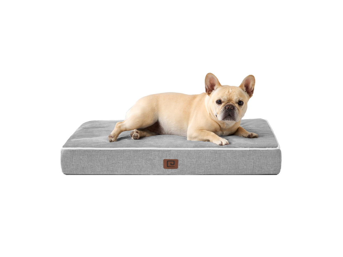 Memory Foam Pet Bed store 017 sku 8 1