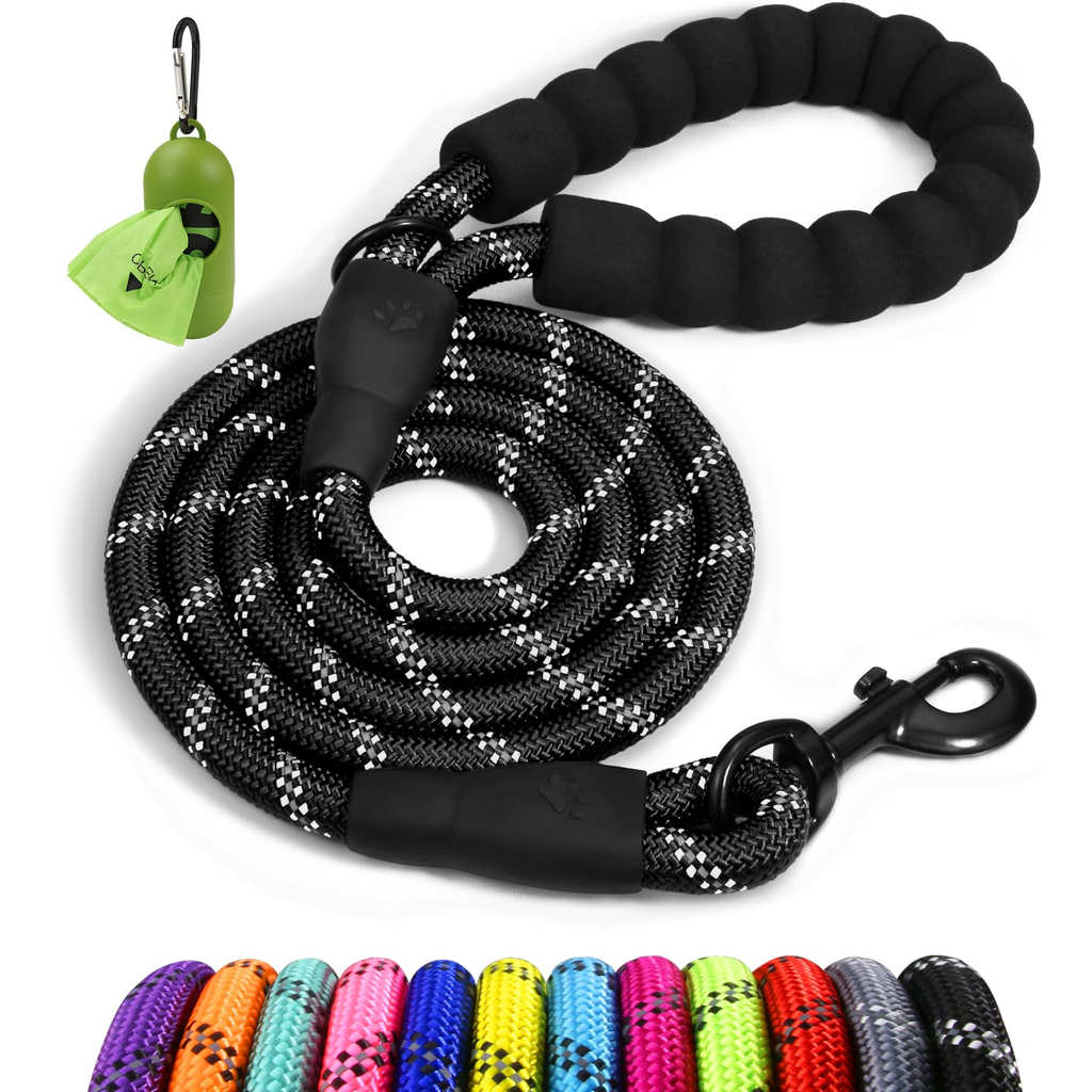 Classic Dog Leash - Terracotta