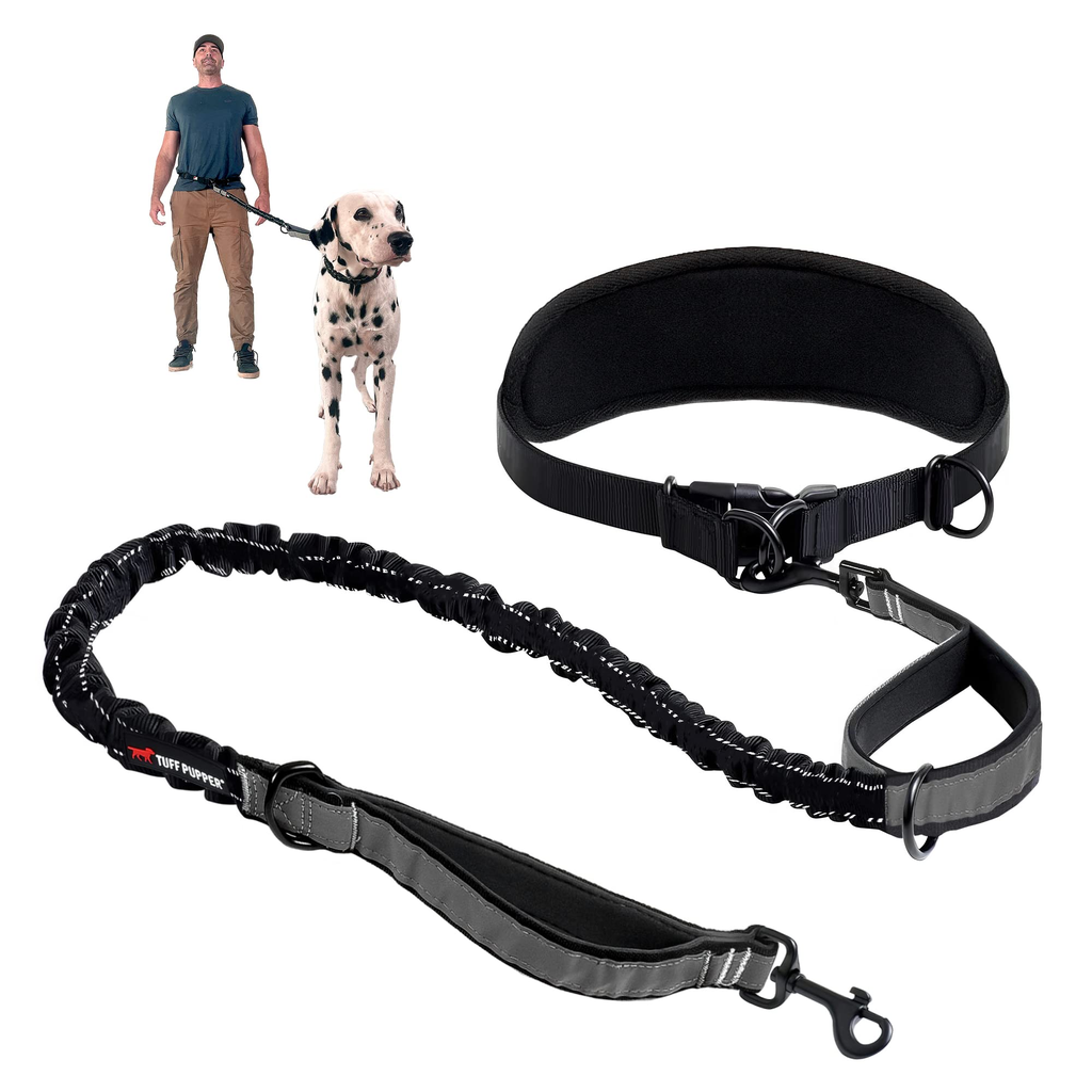 Small Dog Walking Belt - Assorted