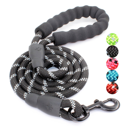Deluxe Dog Leash - Sage