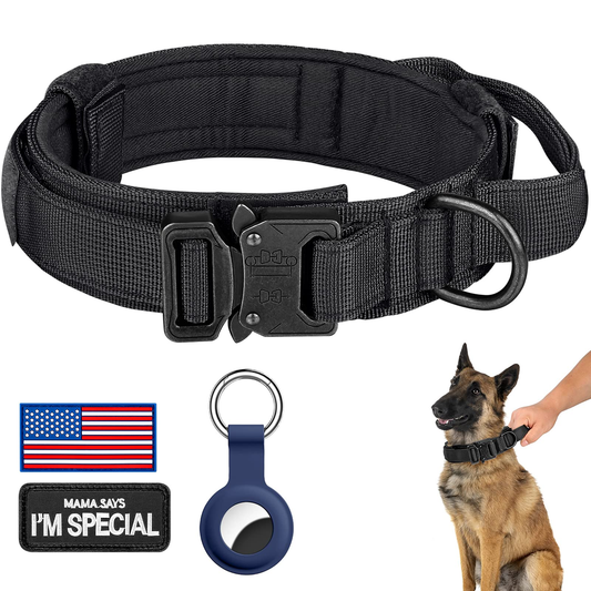 Lightweight Dog Collar - White