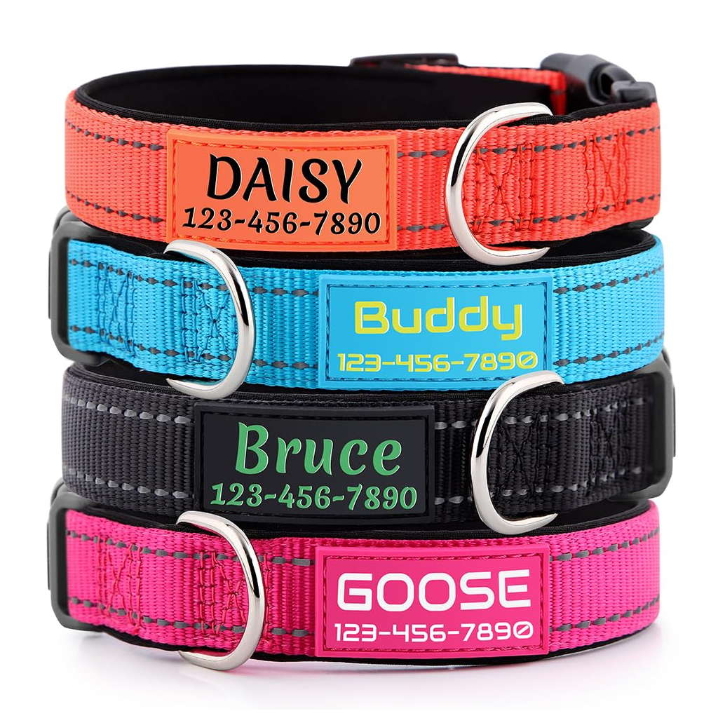 Lightweight Dog Collar - Green