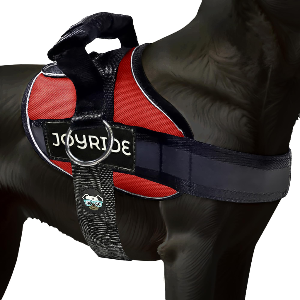 Foldable Dog Harness - Small