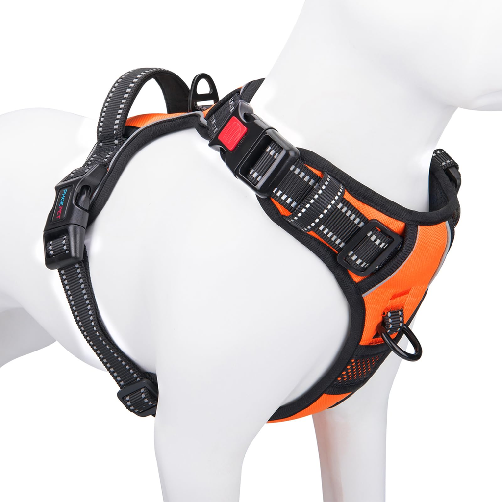 Foldable Dog Harness - Medium