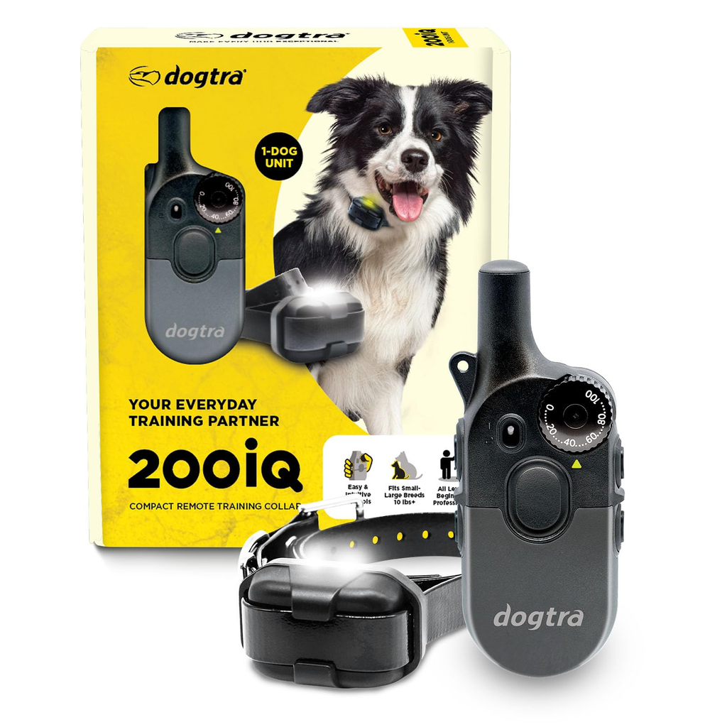 Outdoor Training Collar - Natural