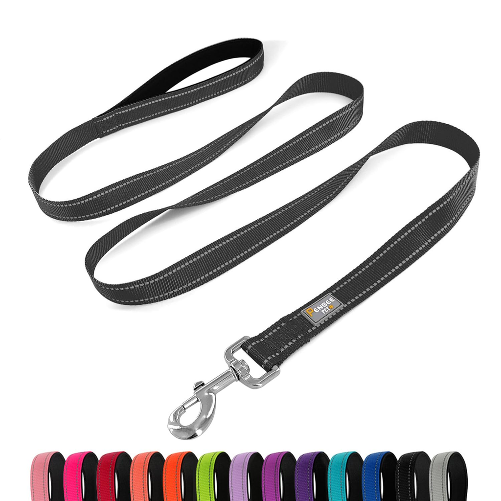 Indoor Reflective Leash - Blue