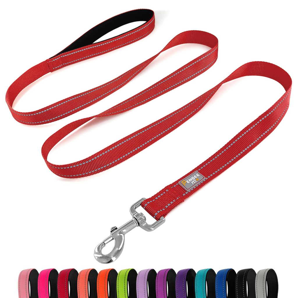 Indoor Reflective Leash - Green