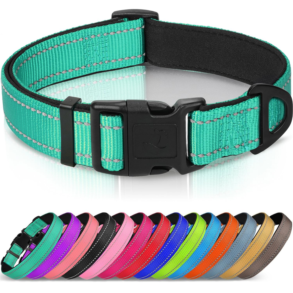 Everyday Dog Collar - Assorted
