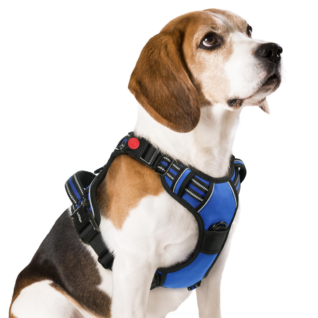 Organized No Pull Harness - Small