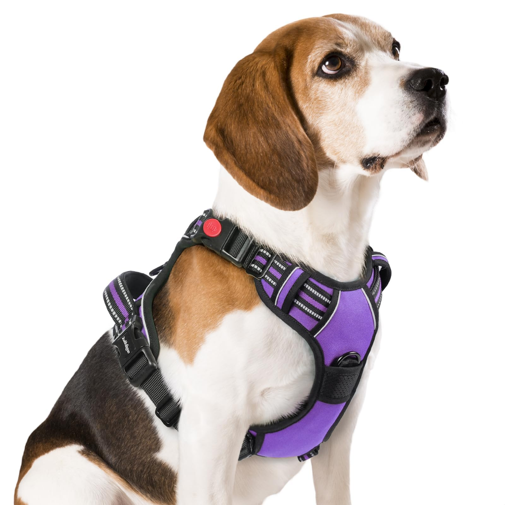 Organized No Pull Harness - Medium