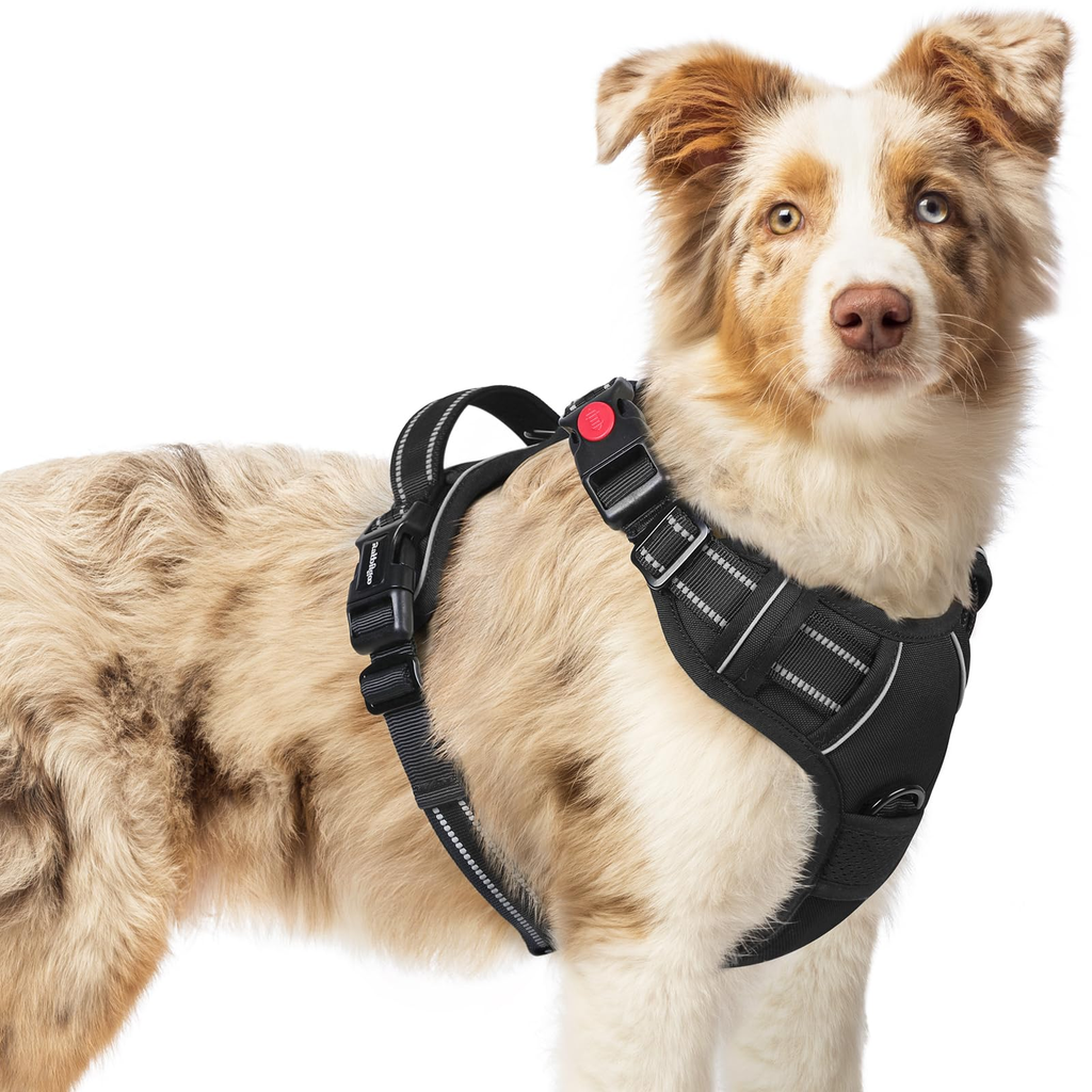 Organized No Pull Harness - Large