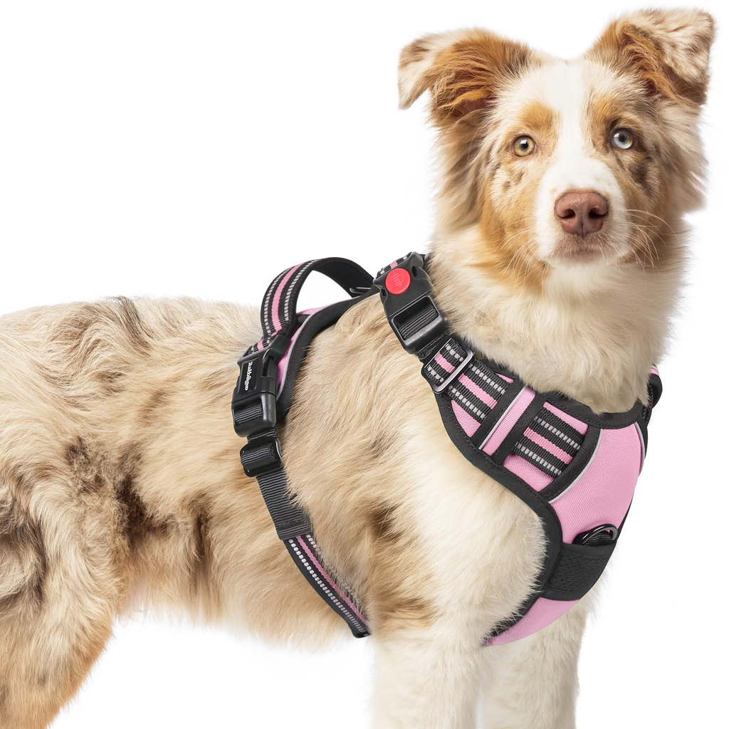 Organized No Pull Harness - Set of 2