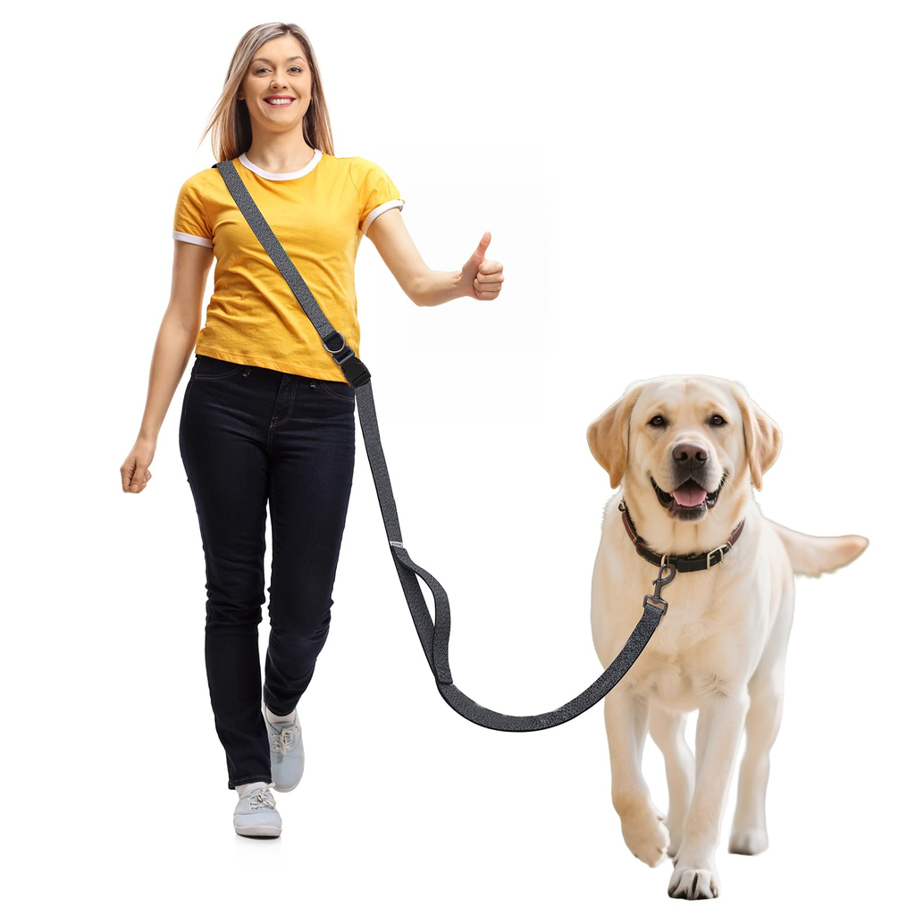 Decorative Hands Free Dog Leash - Black