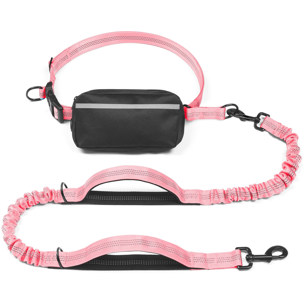 Decorative Hands Free Dog Leash - Natural