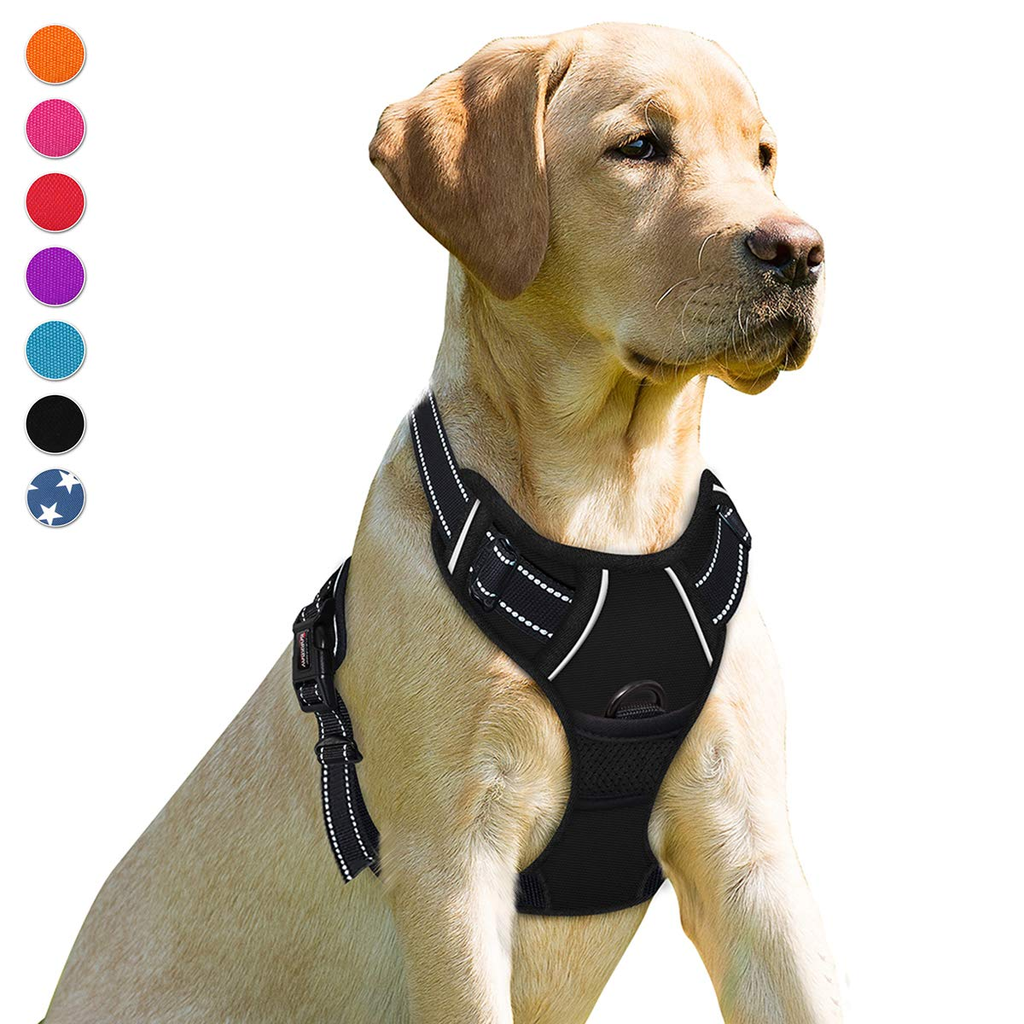 Multi Pack Dog Walking Belt - Gray
