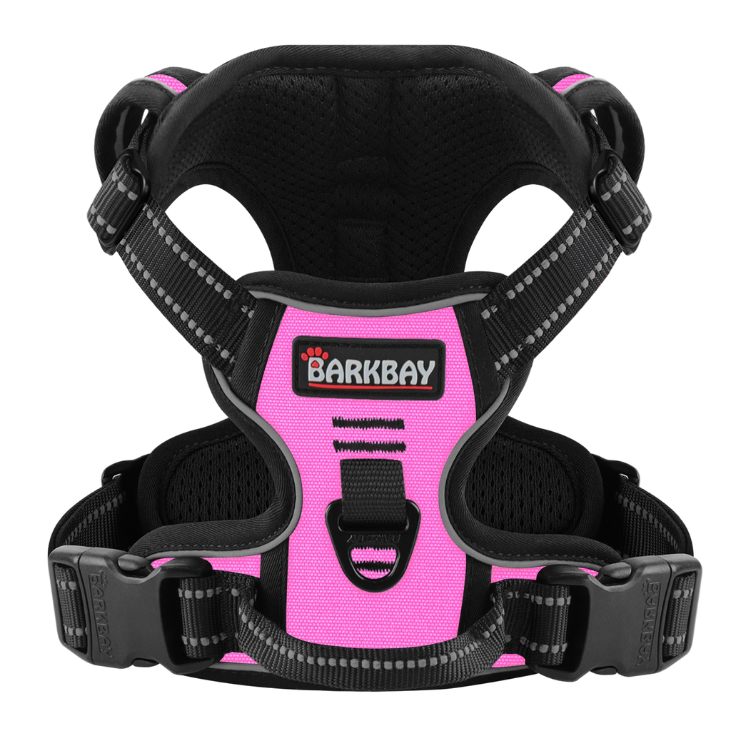 Multi Pack Dog Walking Belt - Blue