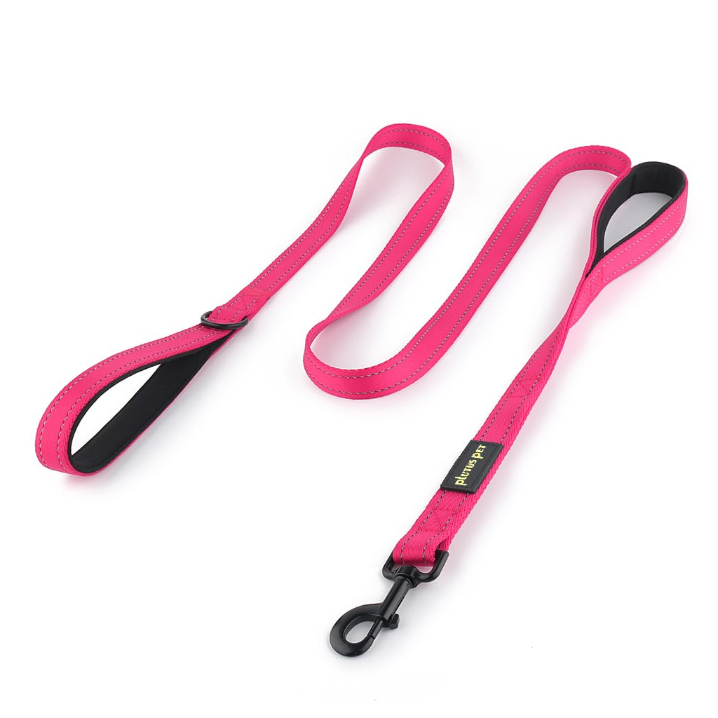 Neutral Dog Leash - Small