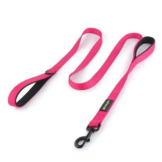 Neutral Dog Leash - Small