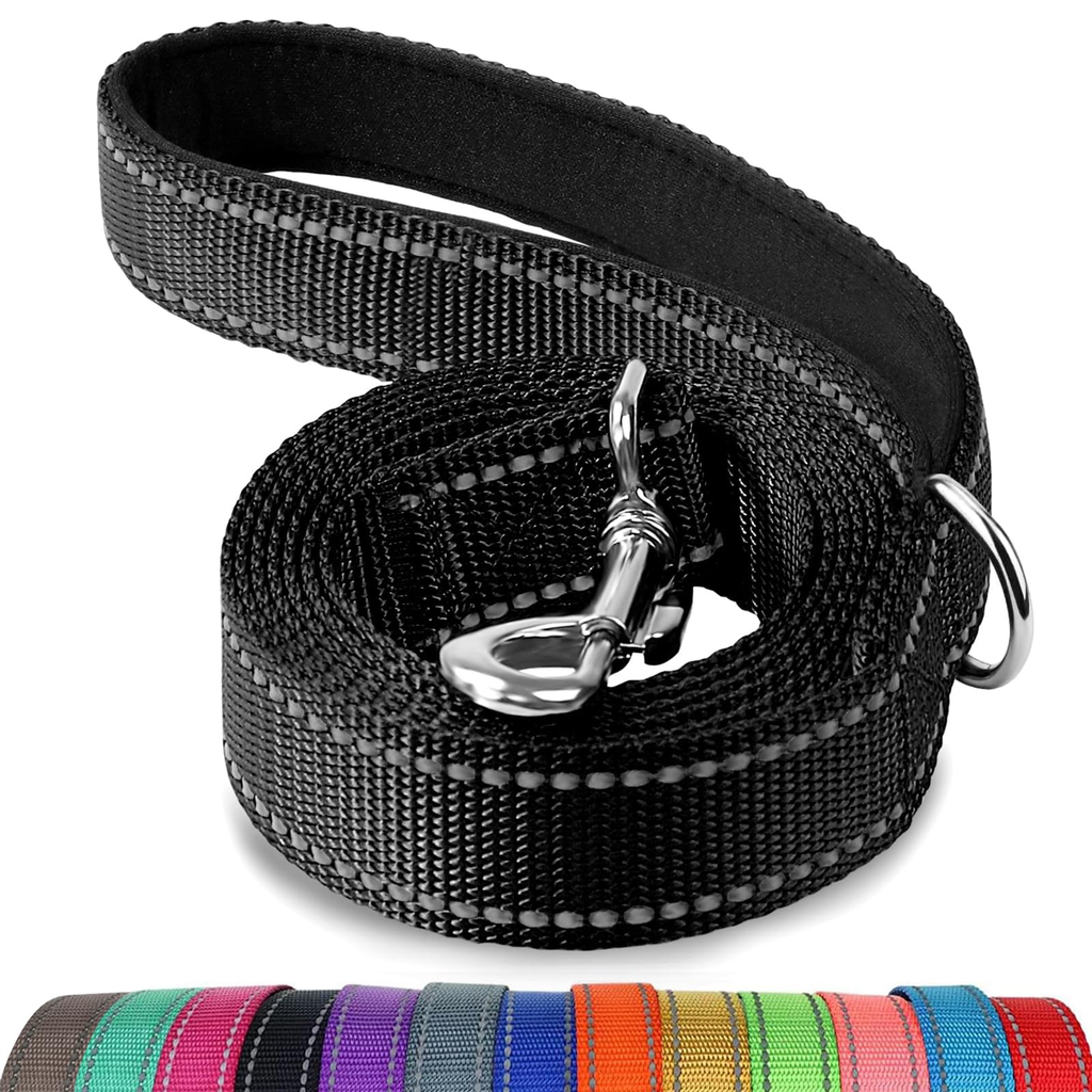 Neutral Dog Leash - Large