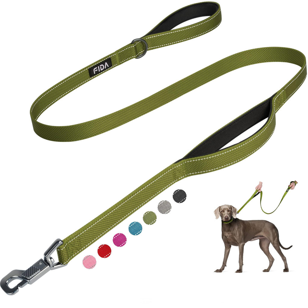 Neutral Dog Leash - Set of 2