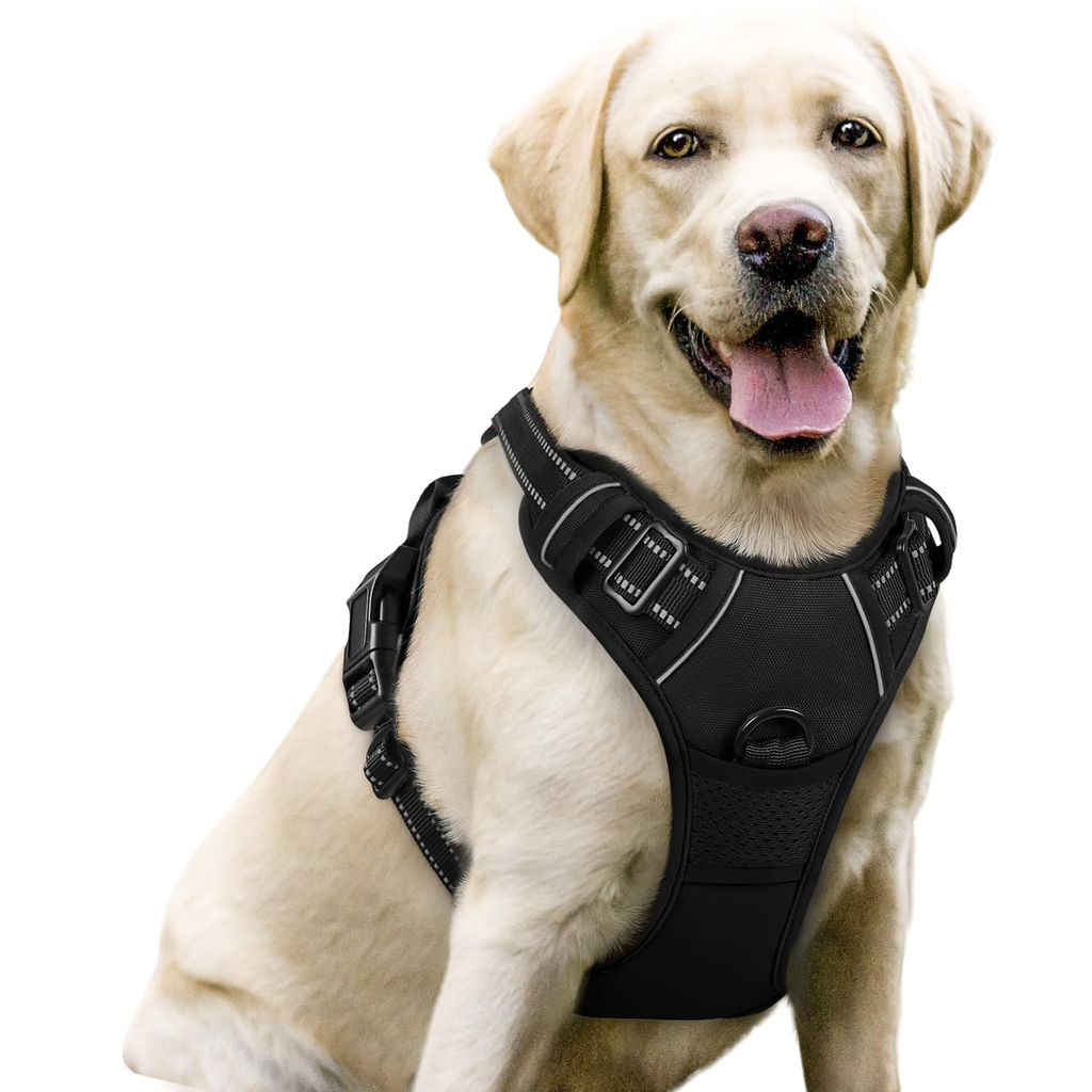 Compact Dog Harness - Sage