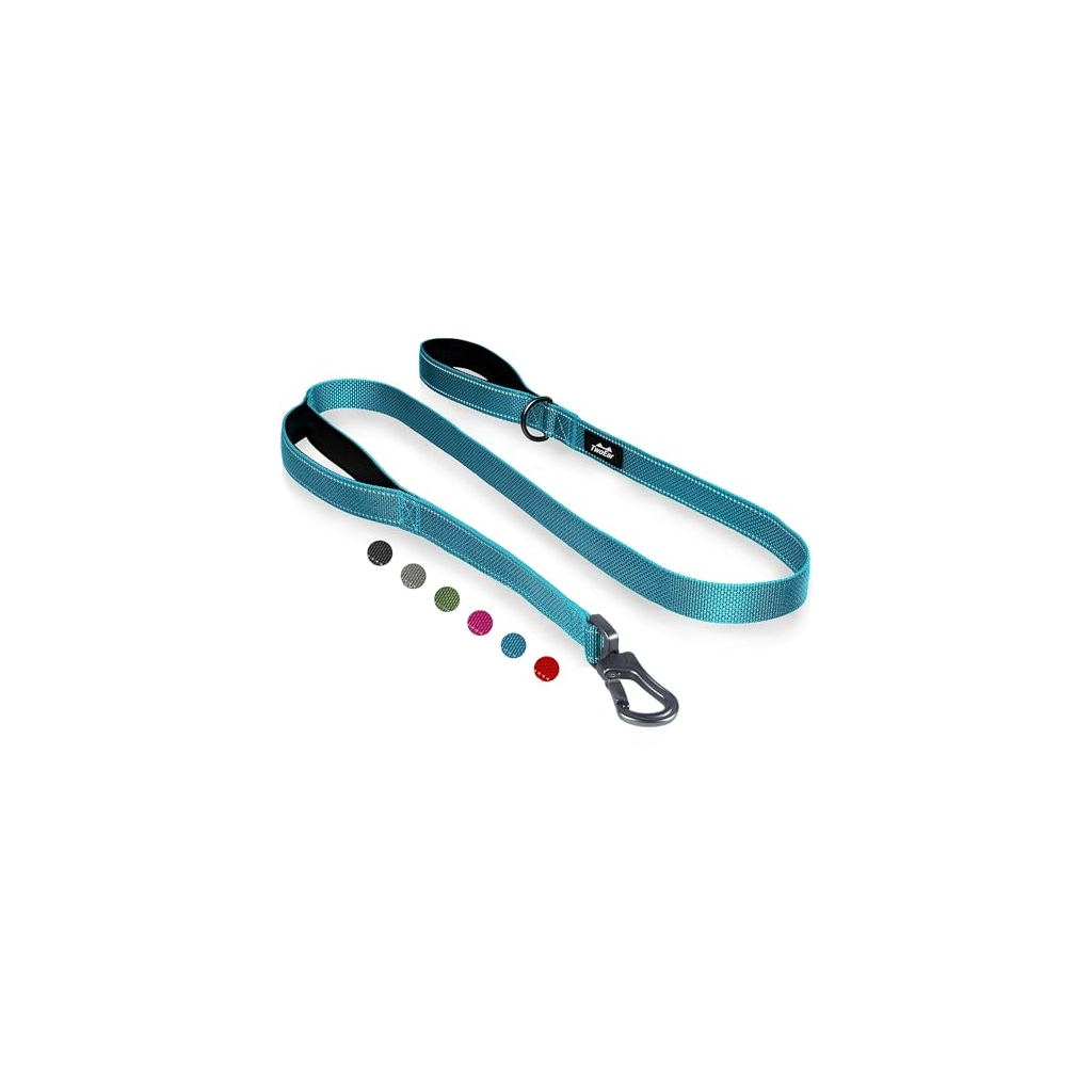 Travel Reflective Leash - Single