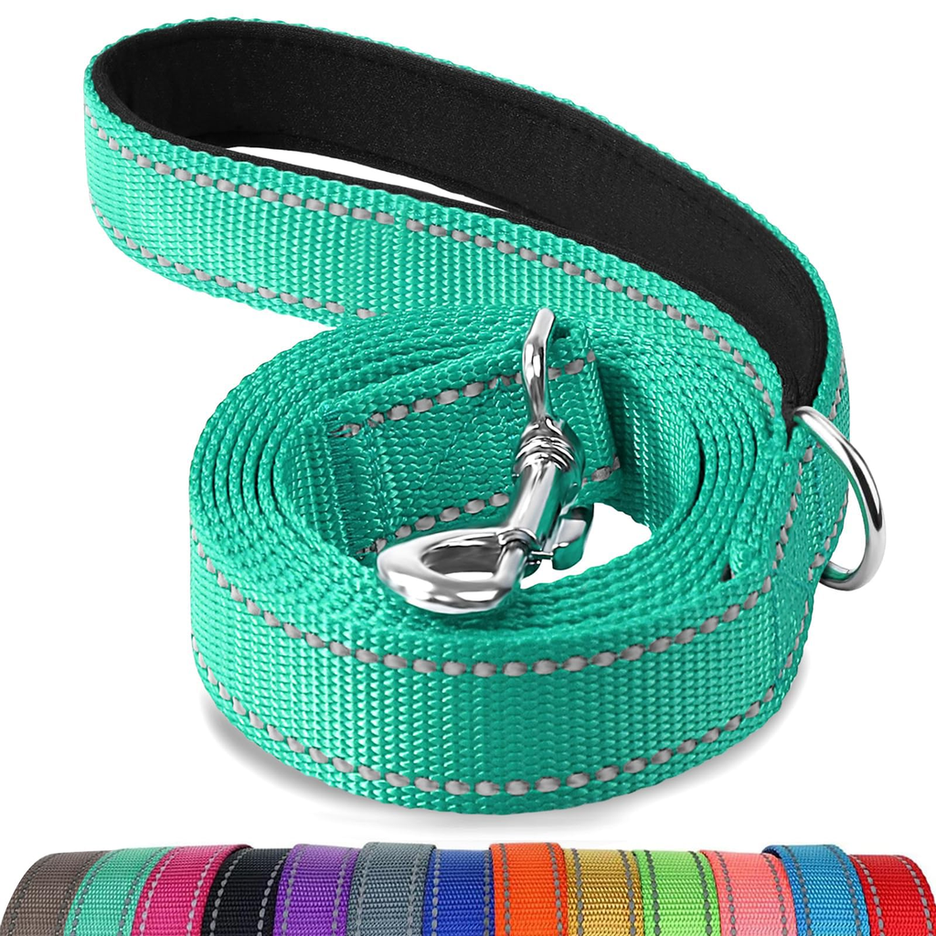 Travel Reflective Leash - 2 Pack