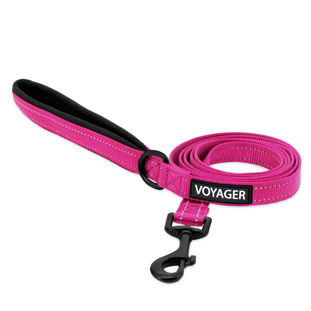 Travel Reflective Leash - Assorted