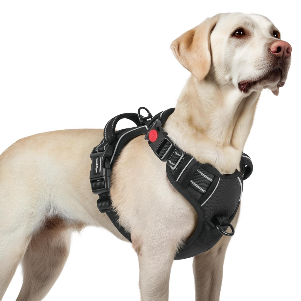 Portable No Pull Harness - Sage
